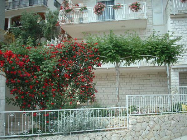 Lana Apartments Trogir Buitenkant foto